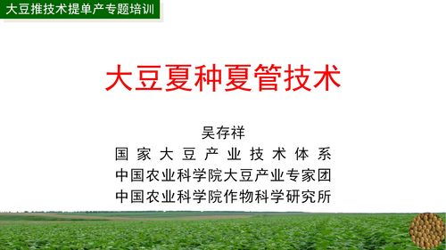 大豆推廣技術提單產專題培訓月 經濟信息咨詢助力農業增效